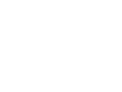 お知らせ・近況